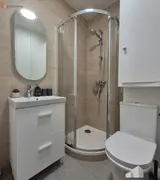 Miniature 3