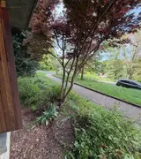 Miniature 7