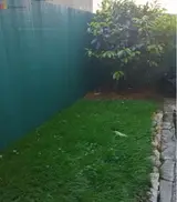 Miniature 0