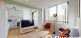 Miniature 3