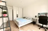 Miniature 9
