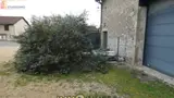 Miniature 7
