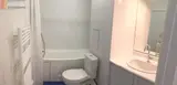 Miniature 4