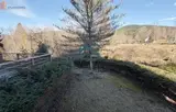 Miniature 0