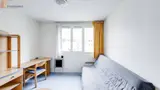 Miniature 8