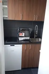Miniature 3