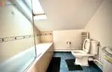 Miniature 8