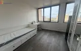 Miniature 19