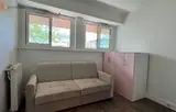Miniature 3