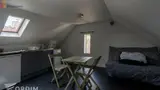 Miniature 4