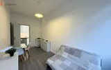 Miniature 8