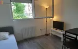 Miniature 0