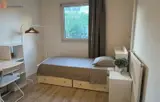 Miniature 8