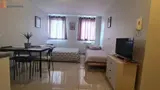 Miniature 0