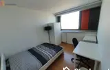 Miniature 5