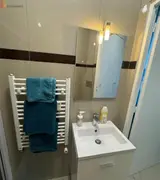 Miniature 19