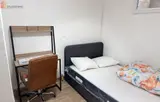 Miniature 5