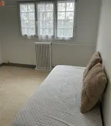 Miniature 0