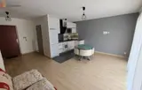 Miniature 8