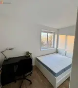 Miniature 4