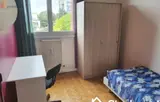Miniature 5