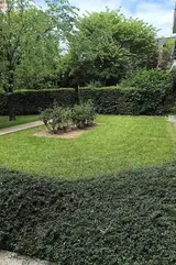 Miniature 5