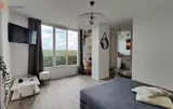 Miniature 0