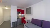 Miniature 48