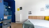 Miniature 4
