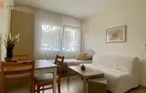 Miniature 7