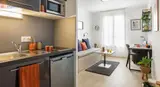 Miniature 4