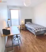 Miniature 9