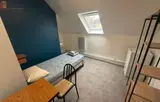 Miniature 4