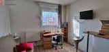 Miniature 21