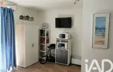 Miniature 3