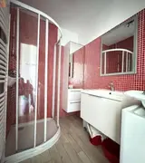 Miniature 4