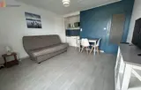Miniature 7