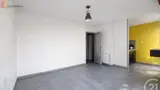 Miniature 5