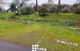 Miniature 5