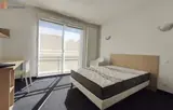 Miniature 0