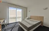 Miniature 3