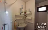 Miniature 6
