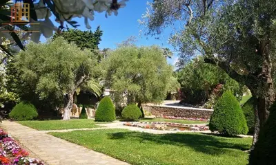 Studio à Cannes