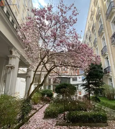 Studio à Vichy