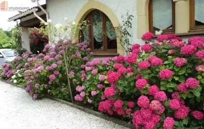 Studio à Saint-Paul-de-Vence