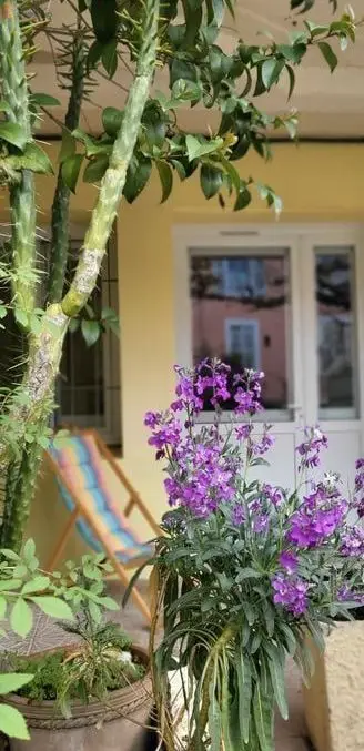 Studio à Lamalou-les-Bains