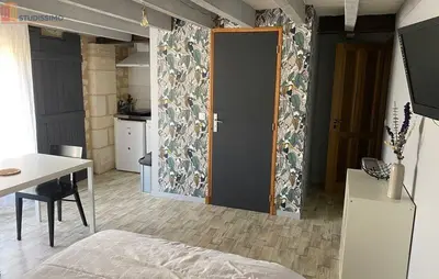 Studio à Bourgueil