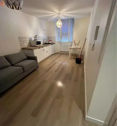 Studio à Neuville-sur-Saône