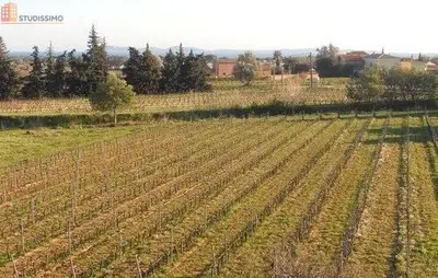 Studio à La Londe-les-Maures