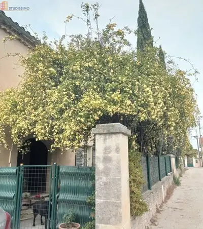 Studio à Avignon
